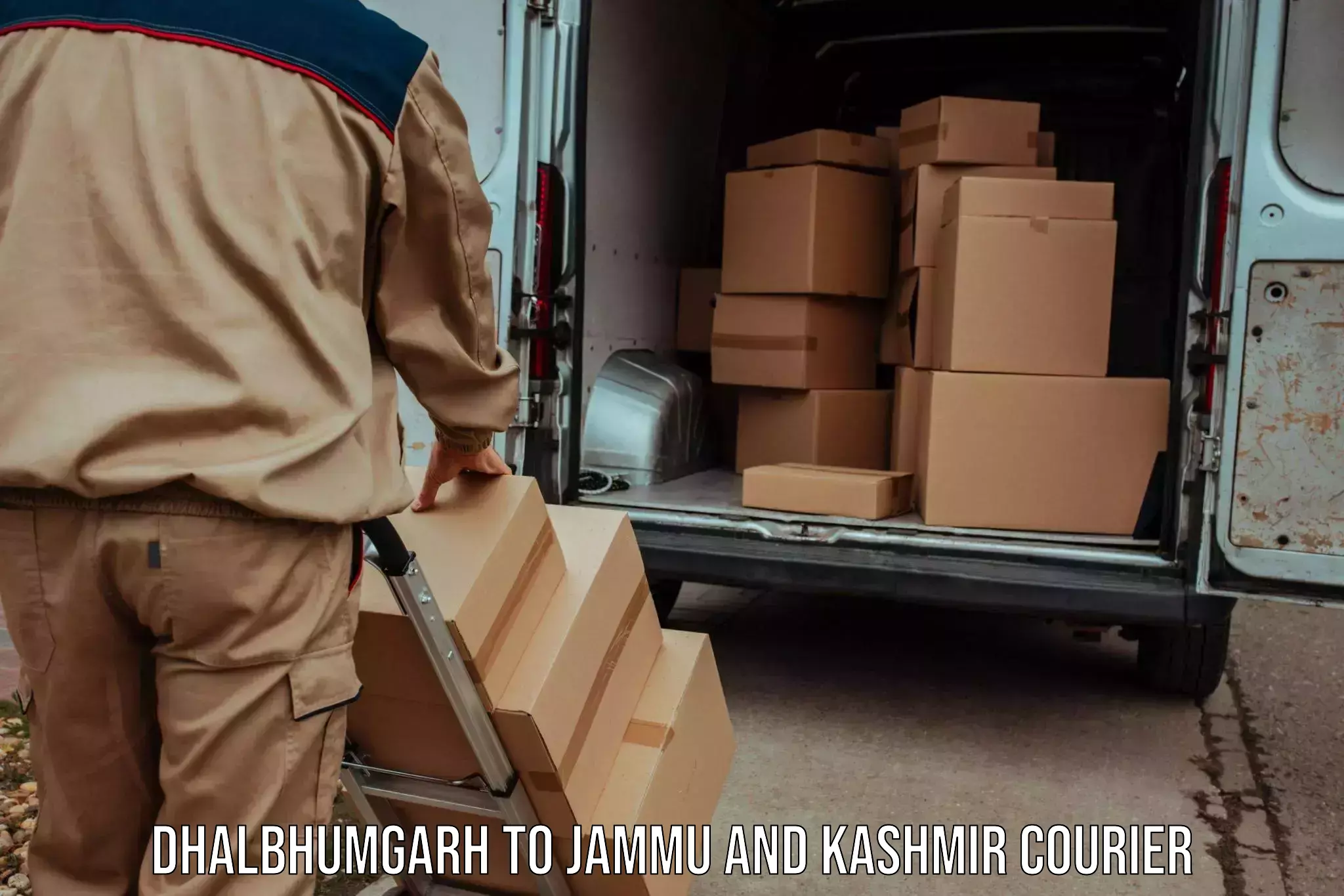 Easy access courier services Dhalbhumgarh to Leh