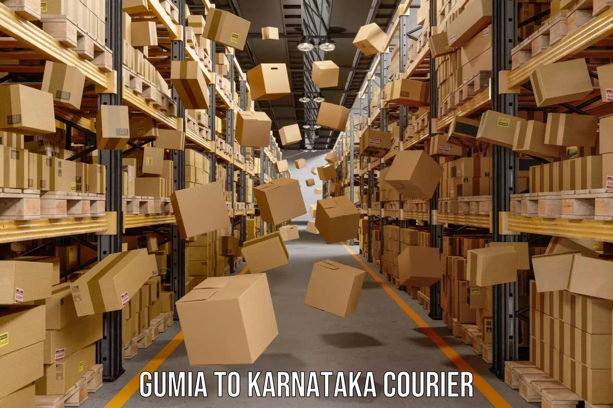 Optimized shipping services Gumia to Karnataka