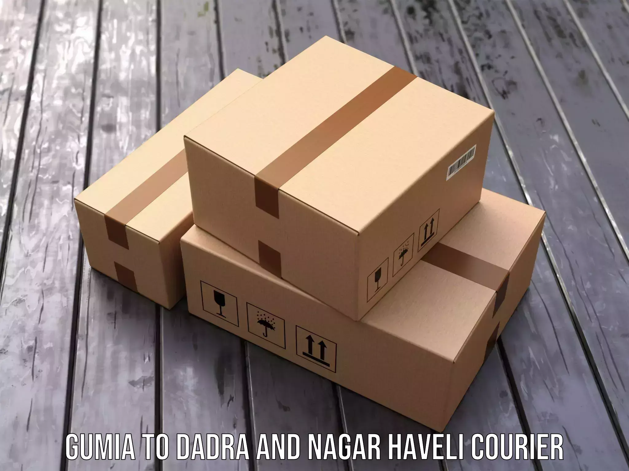 Sustainable shipping practices Gumia to Dadra and Nagar Haveli