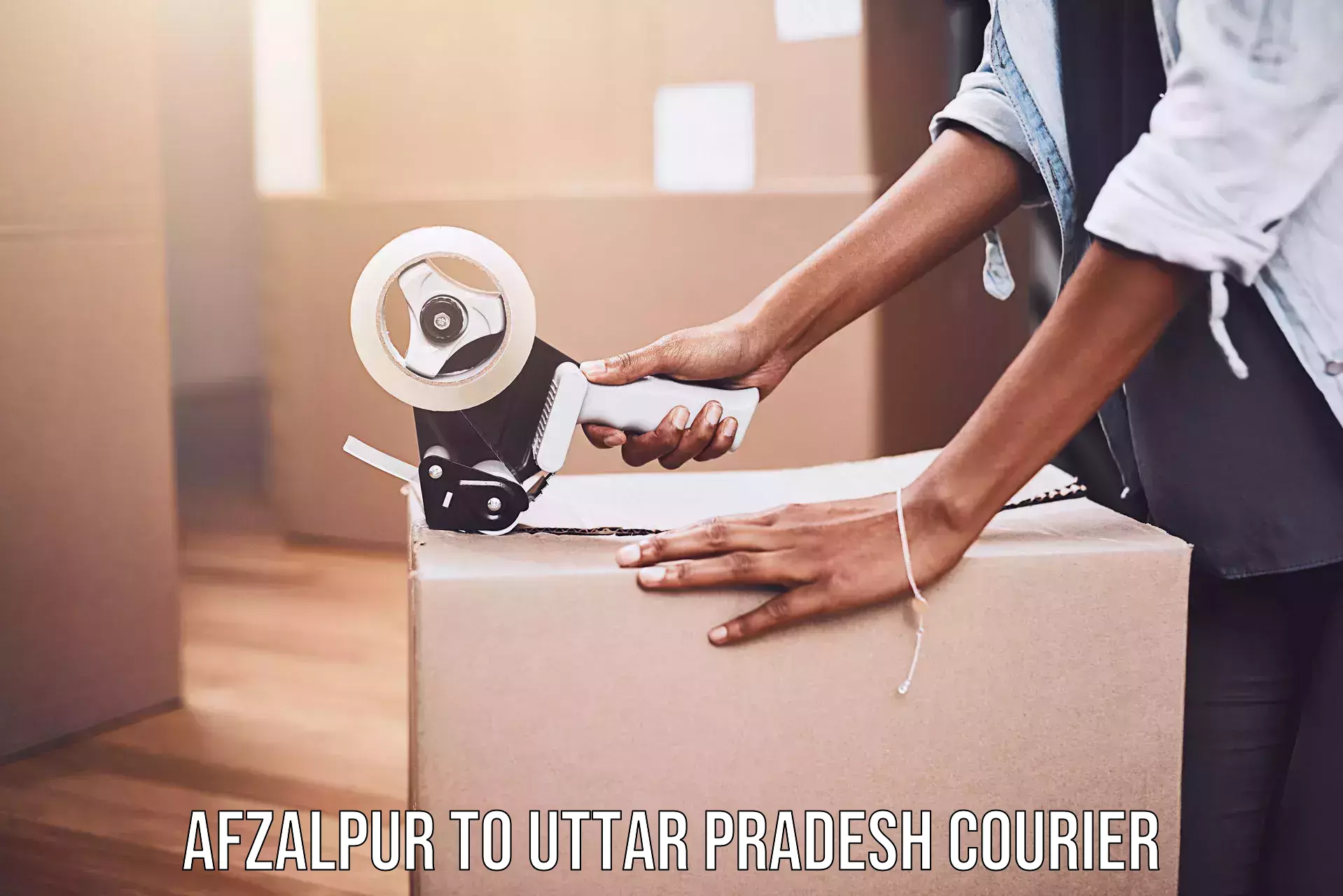 Large package courier Afzalpur to Moradabad