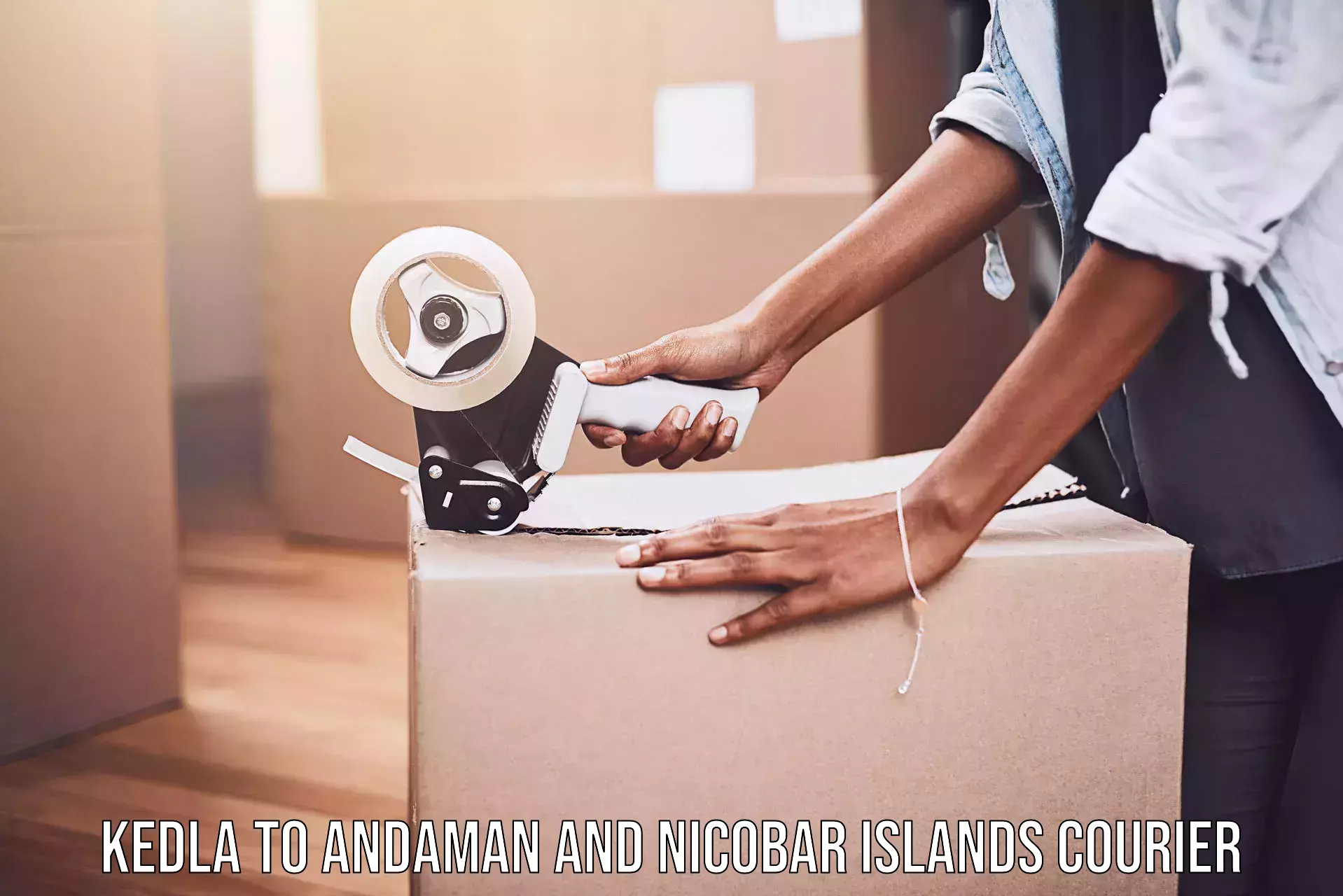 Professional courier handling in Kedla to Andaman and Nicobar Islands