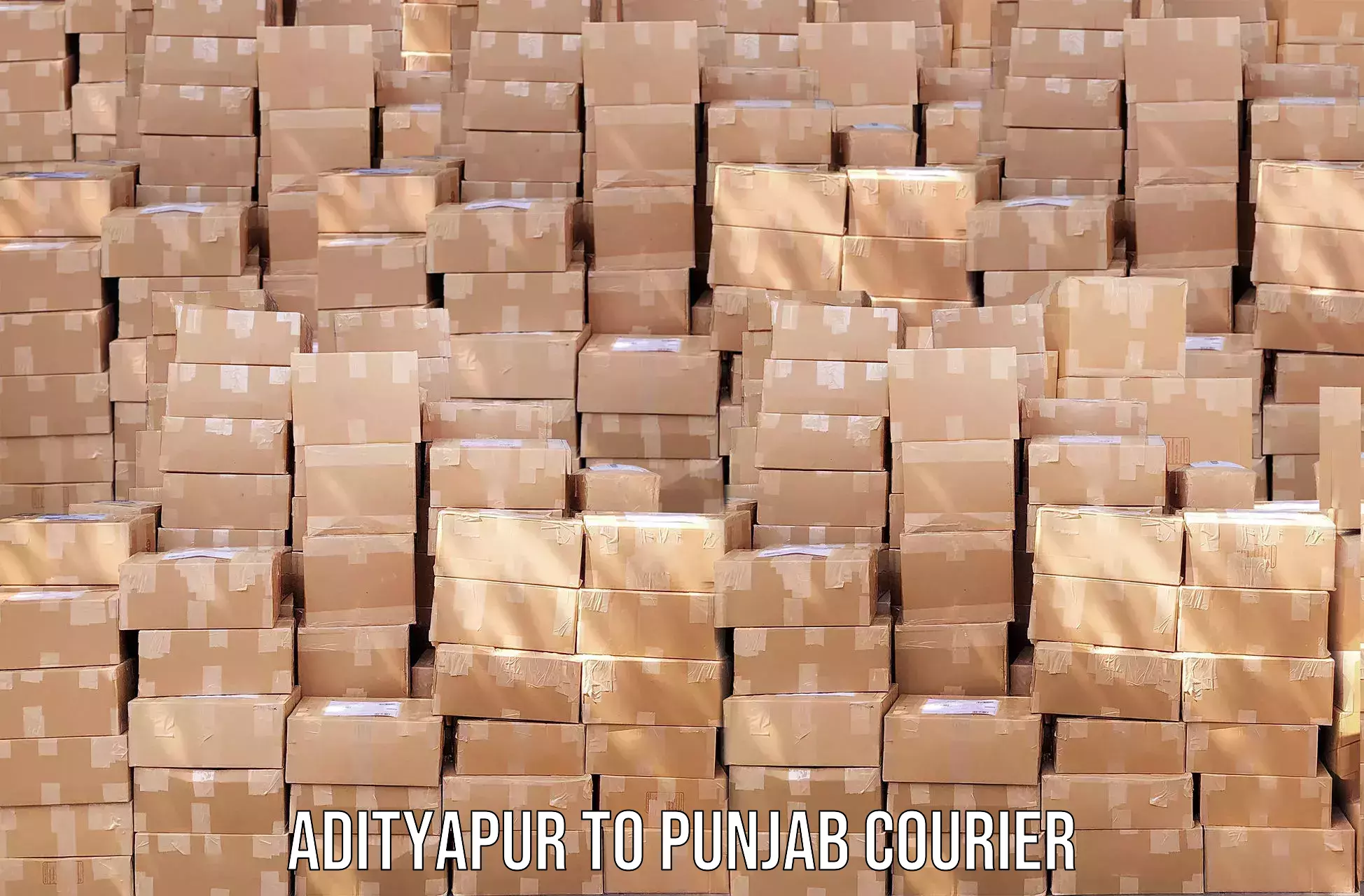 Efficient parcel delivery Adityapur to Punjab