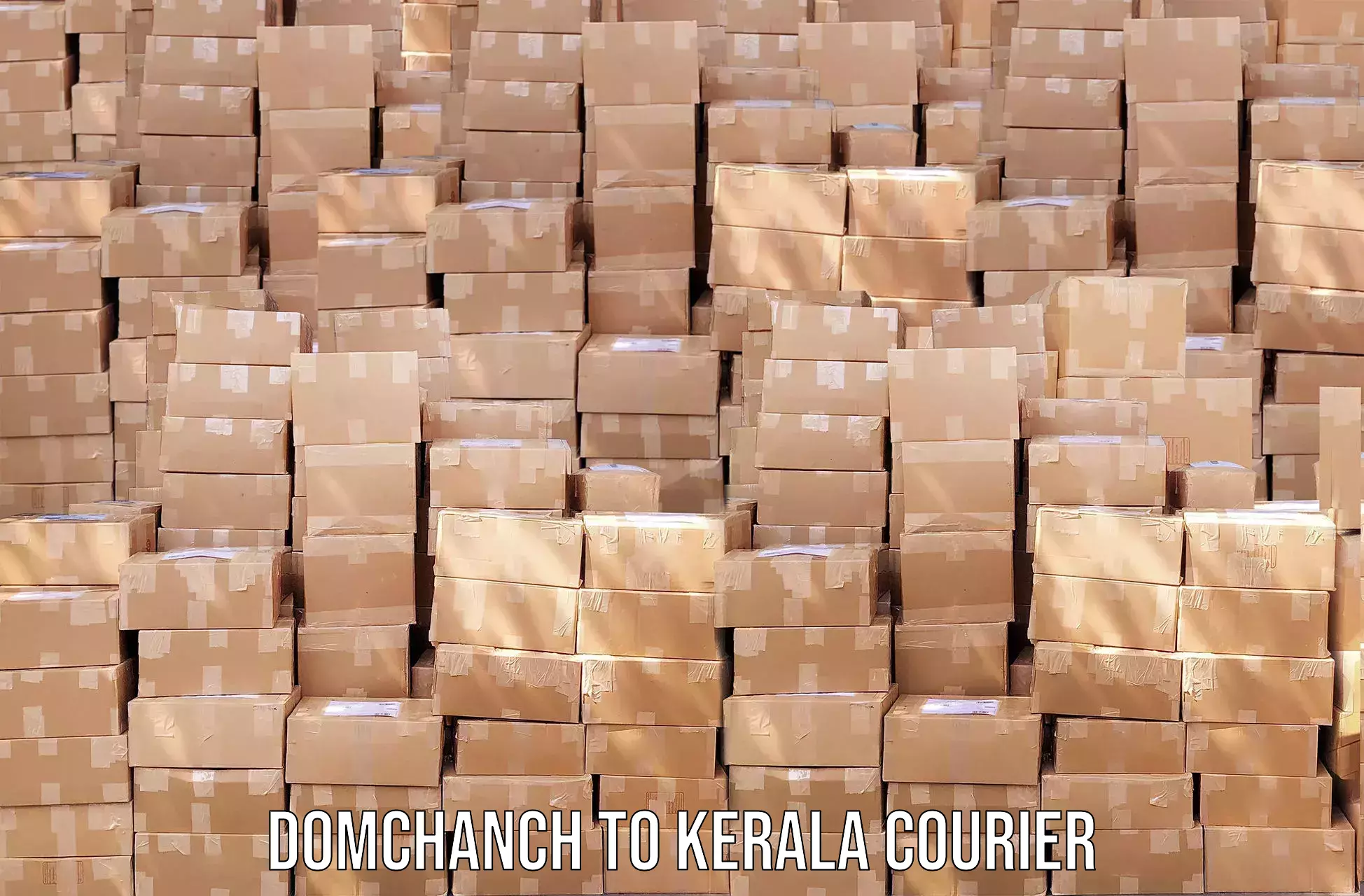 Emergency parcel delivery Domchanch to Kothamangalam