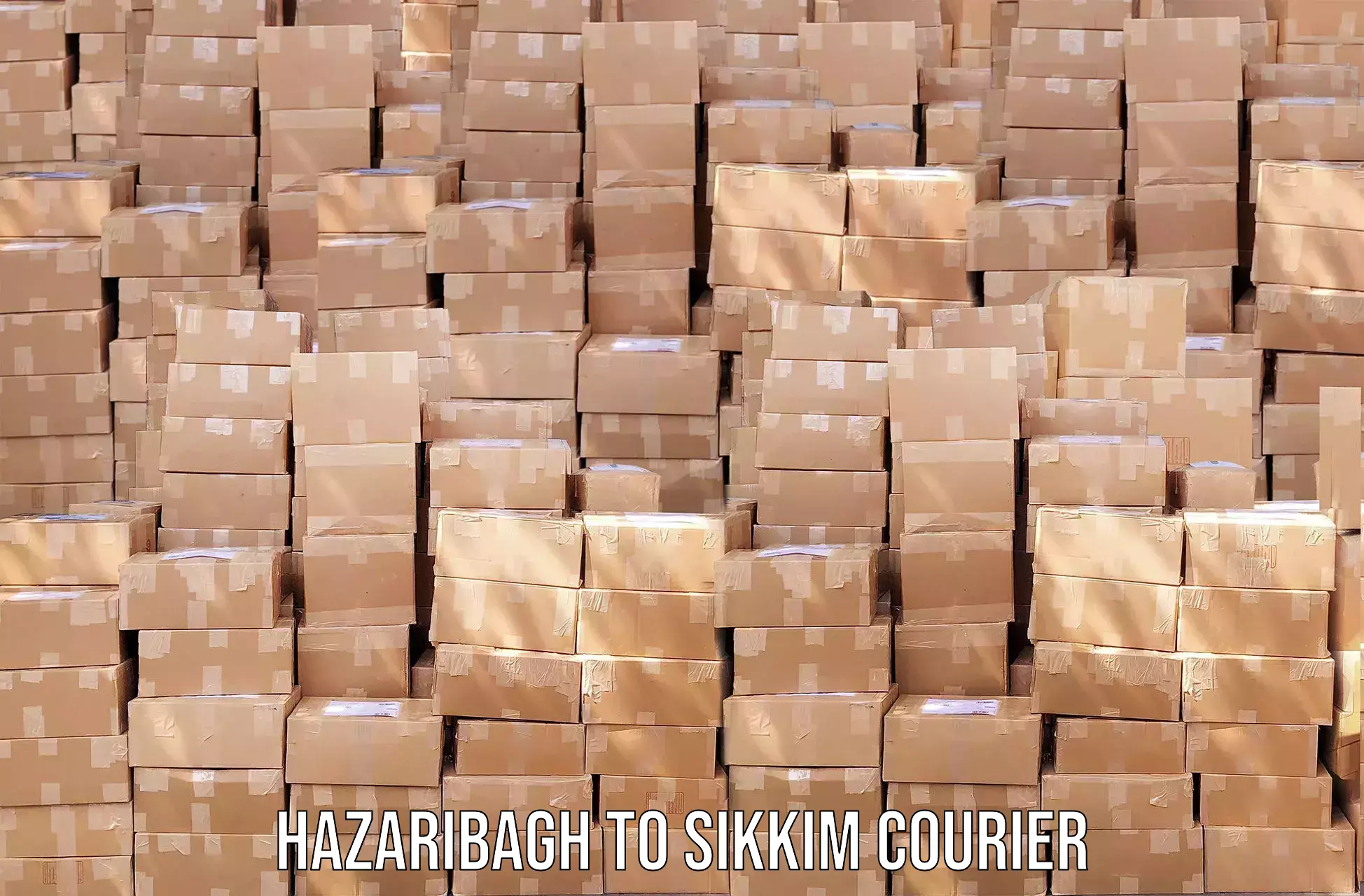 Cost-effective courier options Hazaribagh to NIT Sikkim