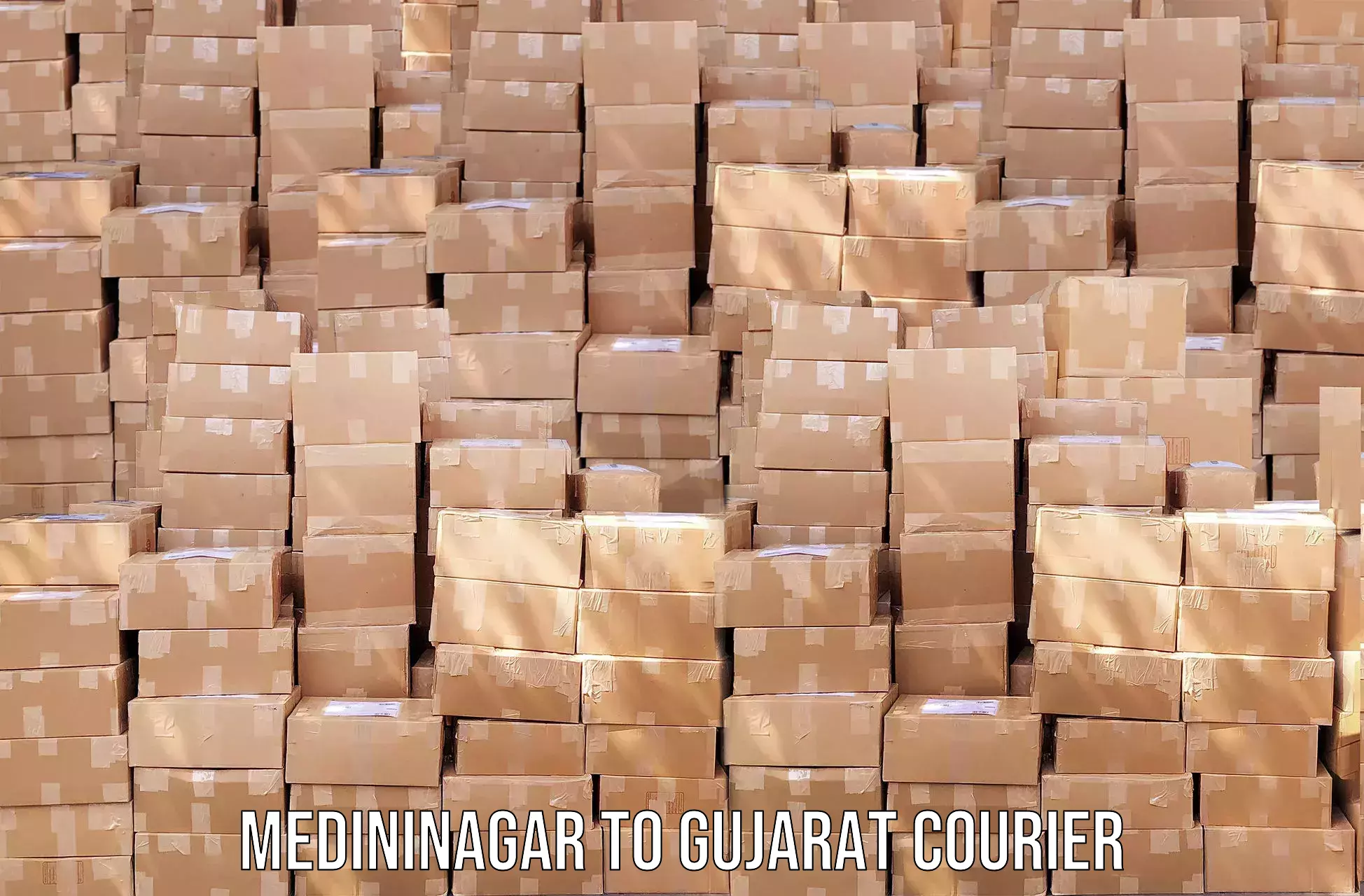 Optimized delivery routes Medininagar to Patan Gujarat