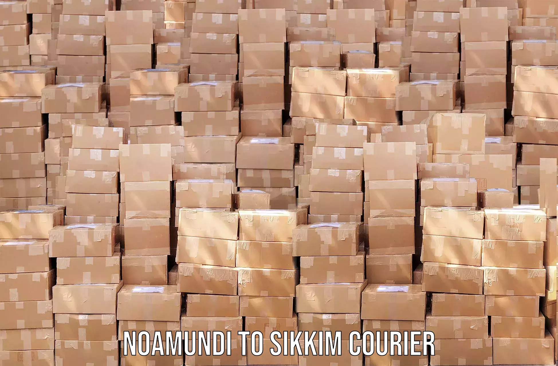 User-friendly courier app Noamundi to Ravangla