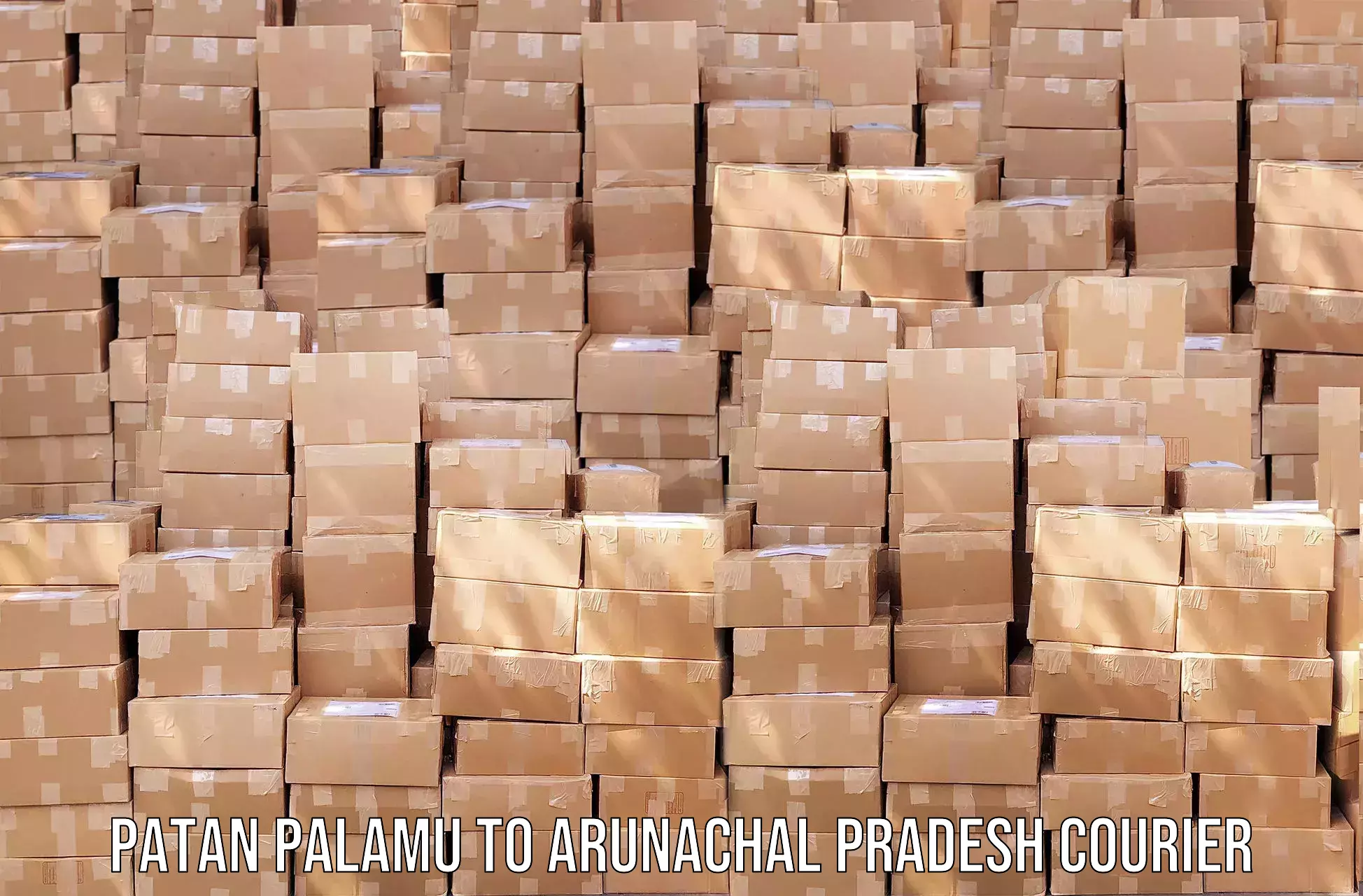 Sustainable courier practices Patan Palamu to Longding