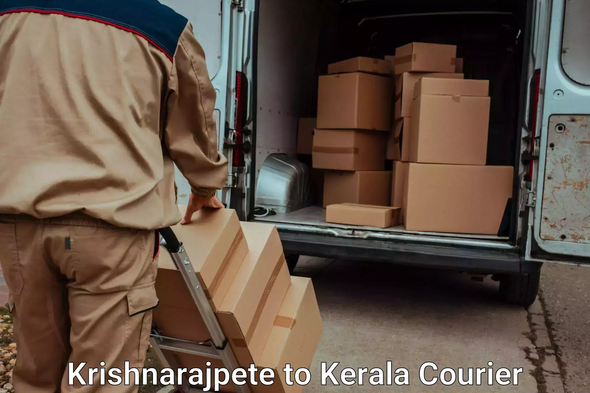 Long-distance household transport Krishnarajpete to Alathur Malabar