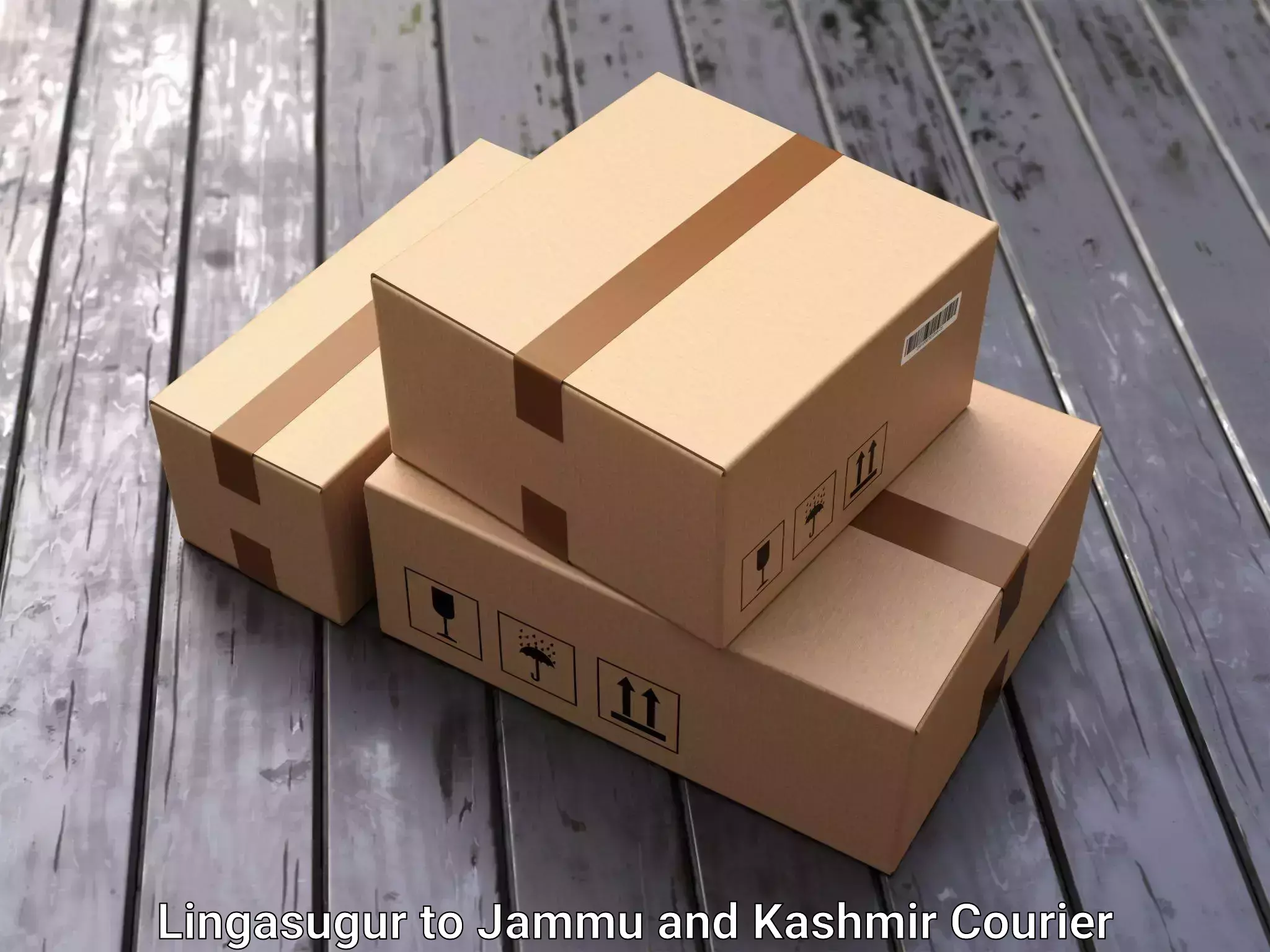 Home relocation and storage Lingasugur to Budgam