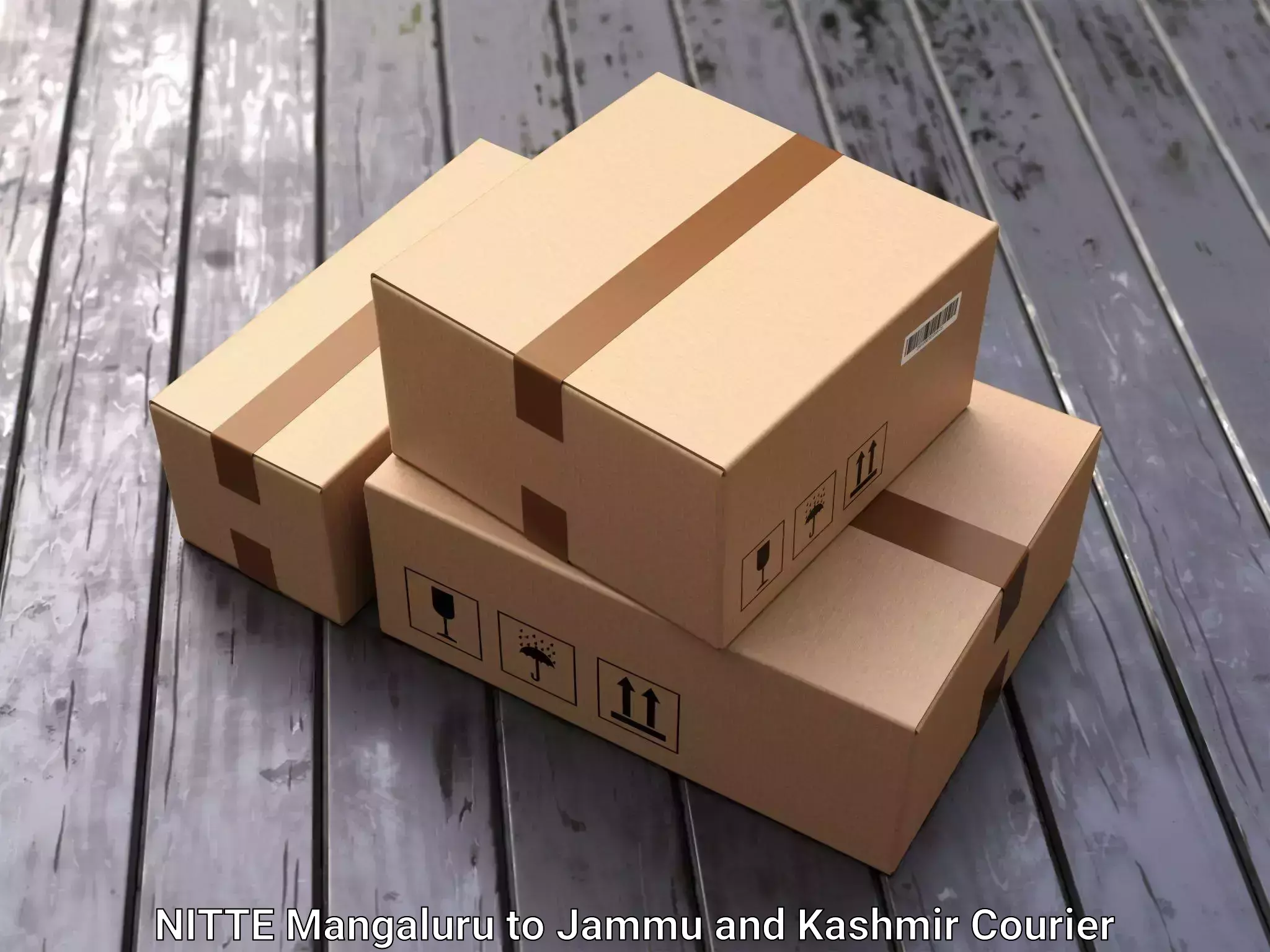 Safe home goods transport NITTE Mangaluru to Jammu and Kashmir