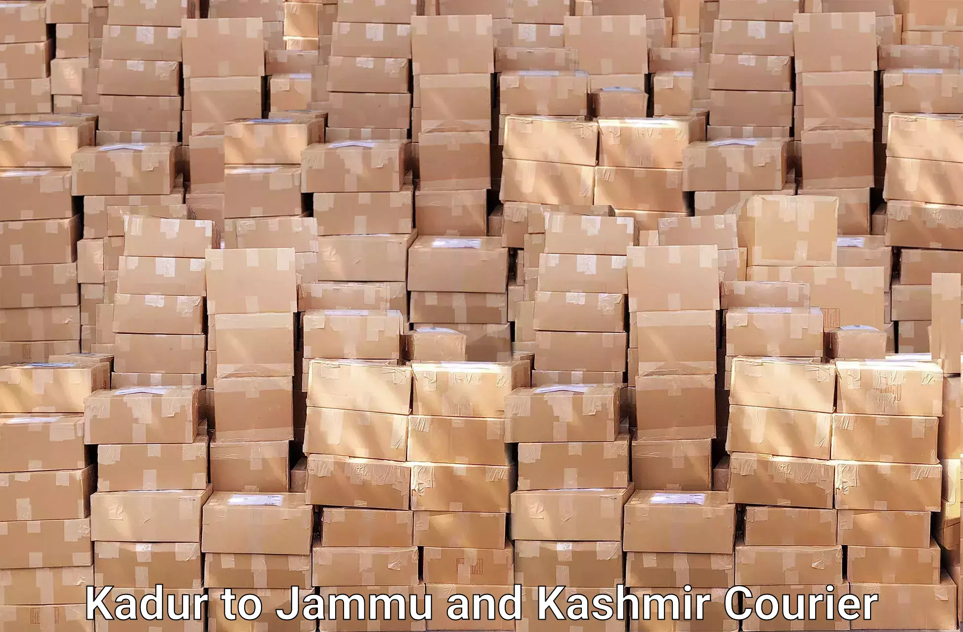 Furniture transport experts Kadur to Jammu and Kashmir
