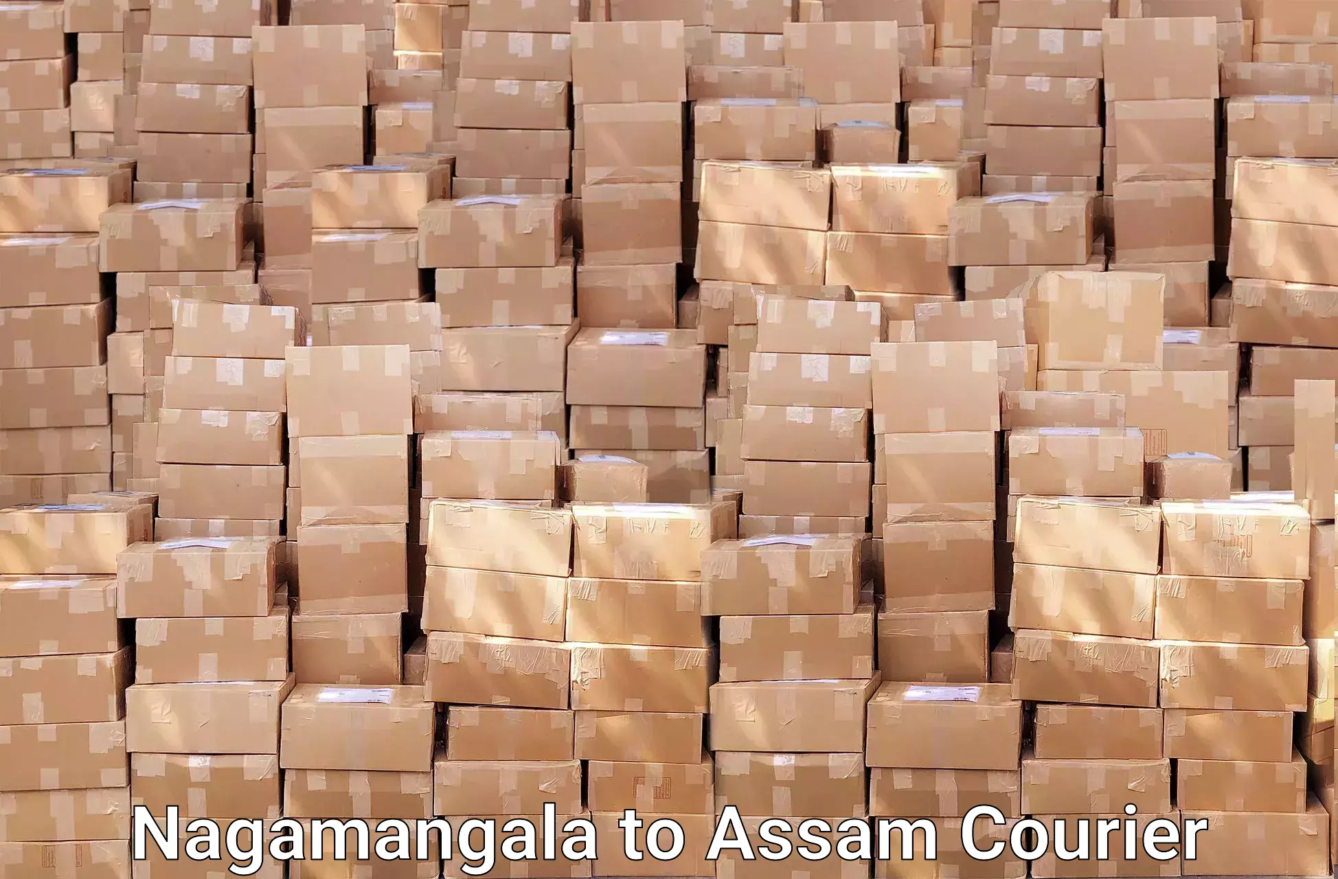 Professional furniture movers Nagamangala to Ramkrishna Nagar Karimganj