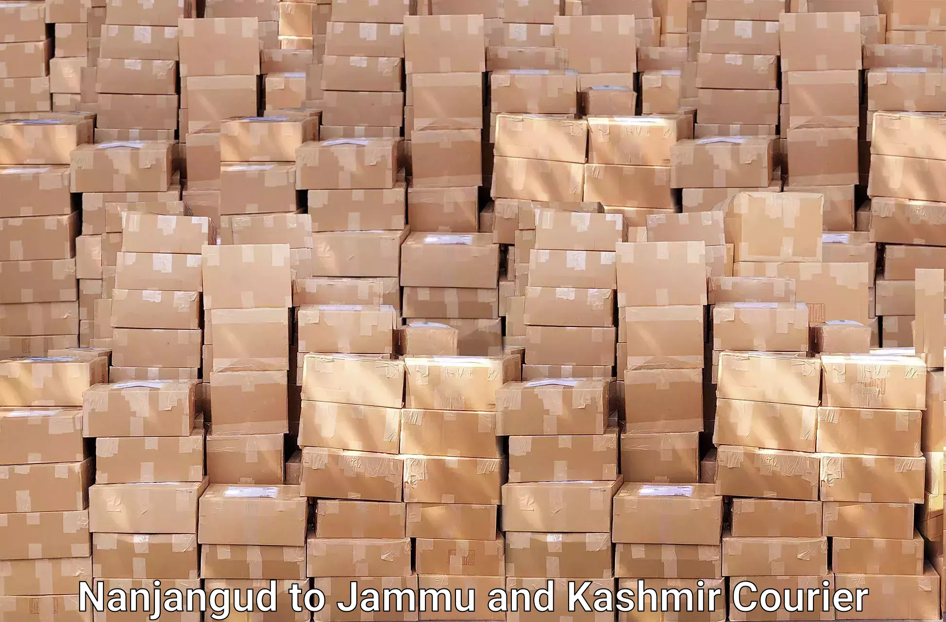 Furniture movers and packers Nanjangud to Srinagar Kashmir