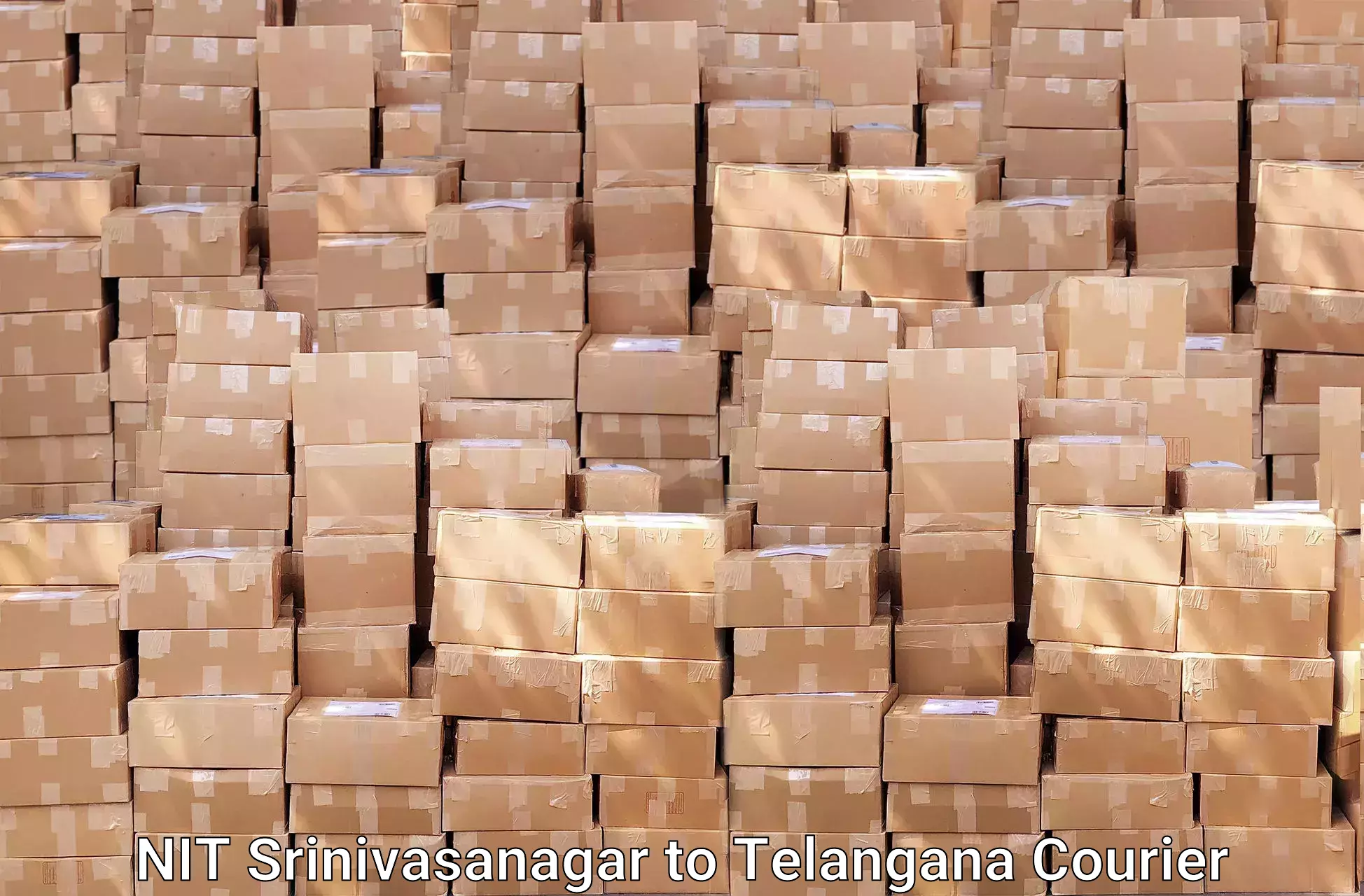 Cost-effective moving options NIT Srinivasanagar to Hanamkonda