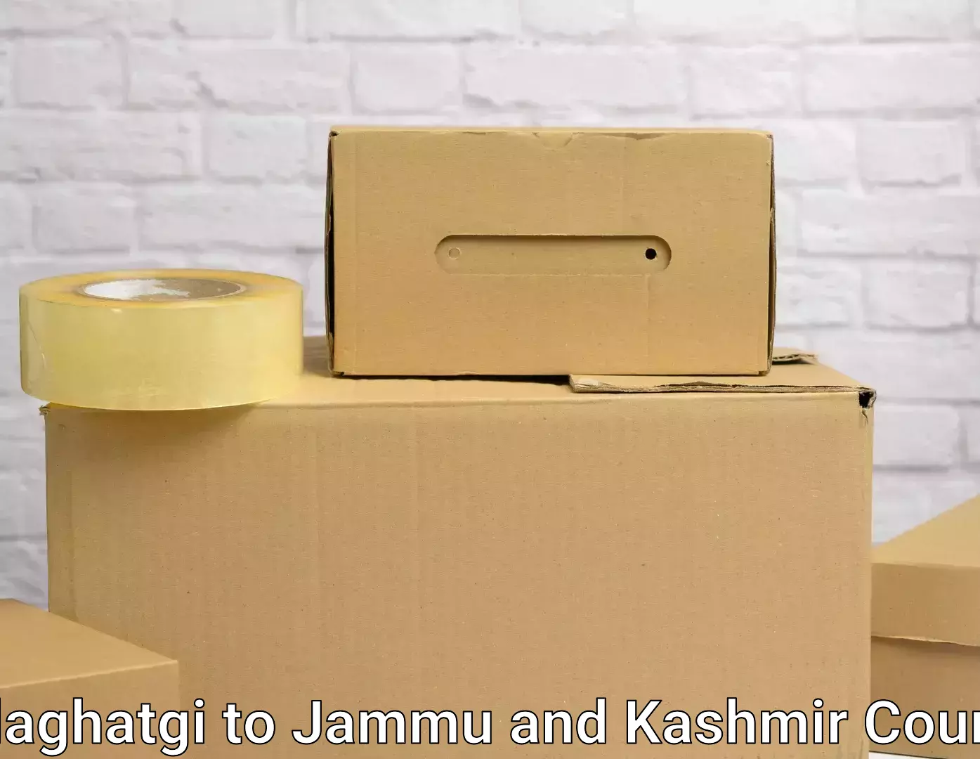 Efficient furniture movers Kalaghatgi to Jammu and Kashmir