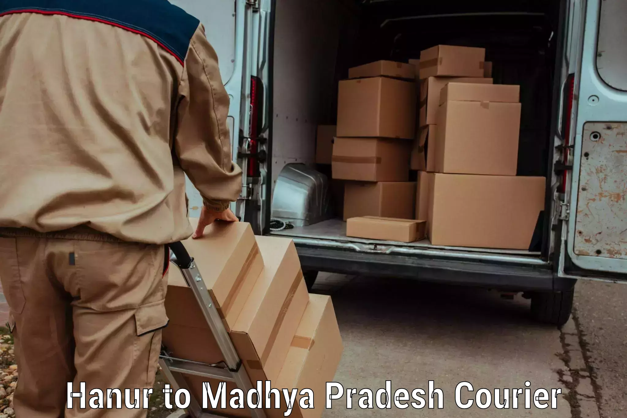 Digital baggage courier in Hanur to Madhya Pradesh