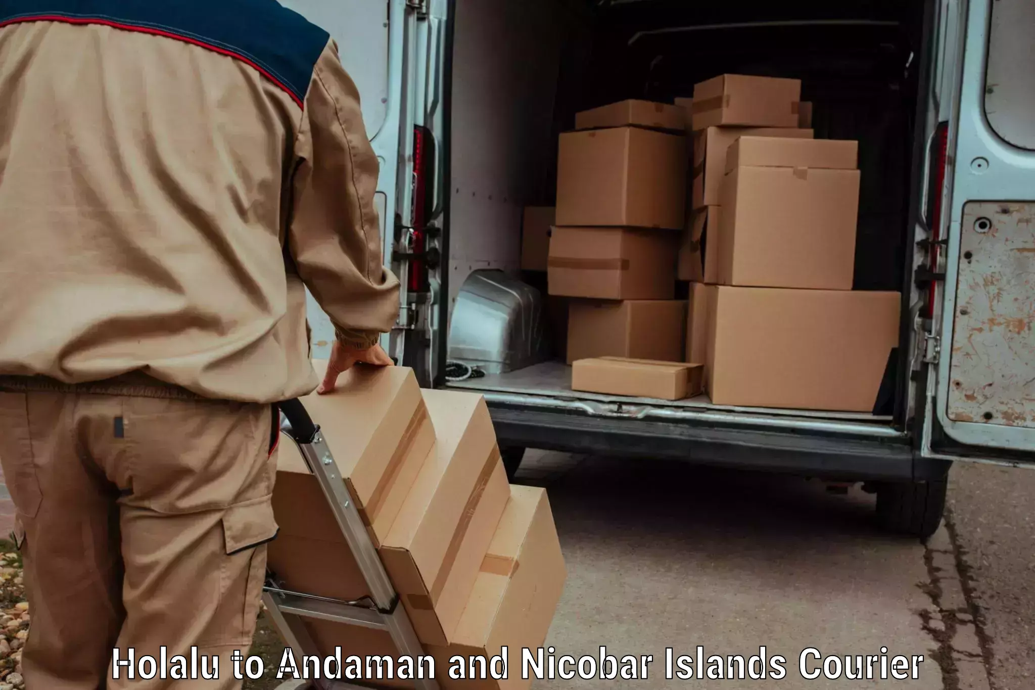 Baggage delivery optimization in Holalu to Andaman and Nicobar Islands