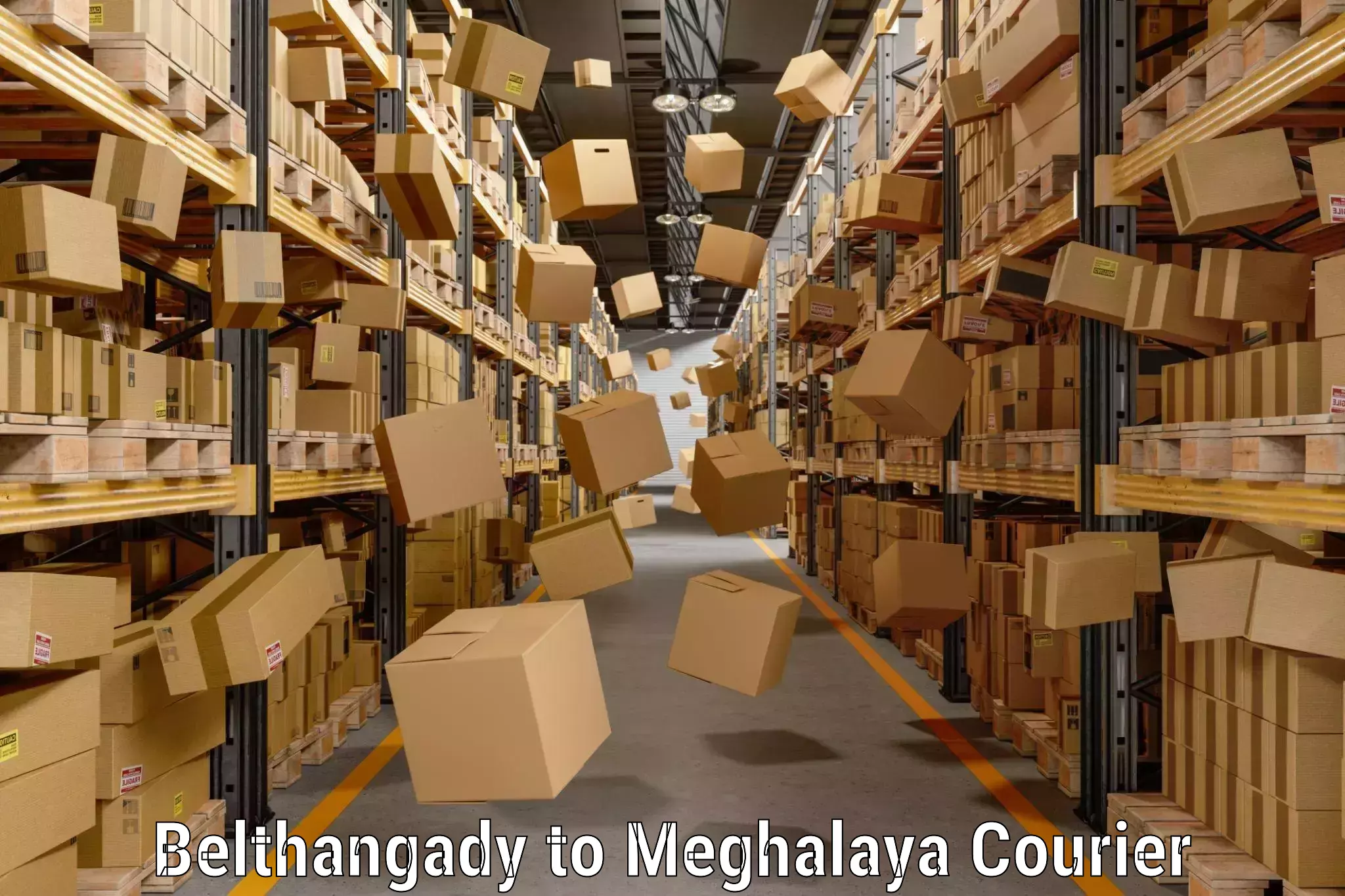 Luggage courier logistics Belthangady to NIT Meghalaya