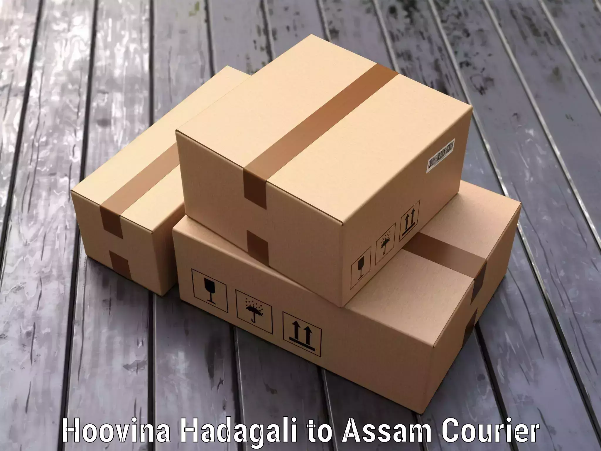 Domestic luggage transport Hoovina Hadagali to Ramkrishna Nagar Karimganj