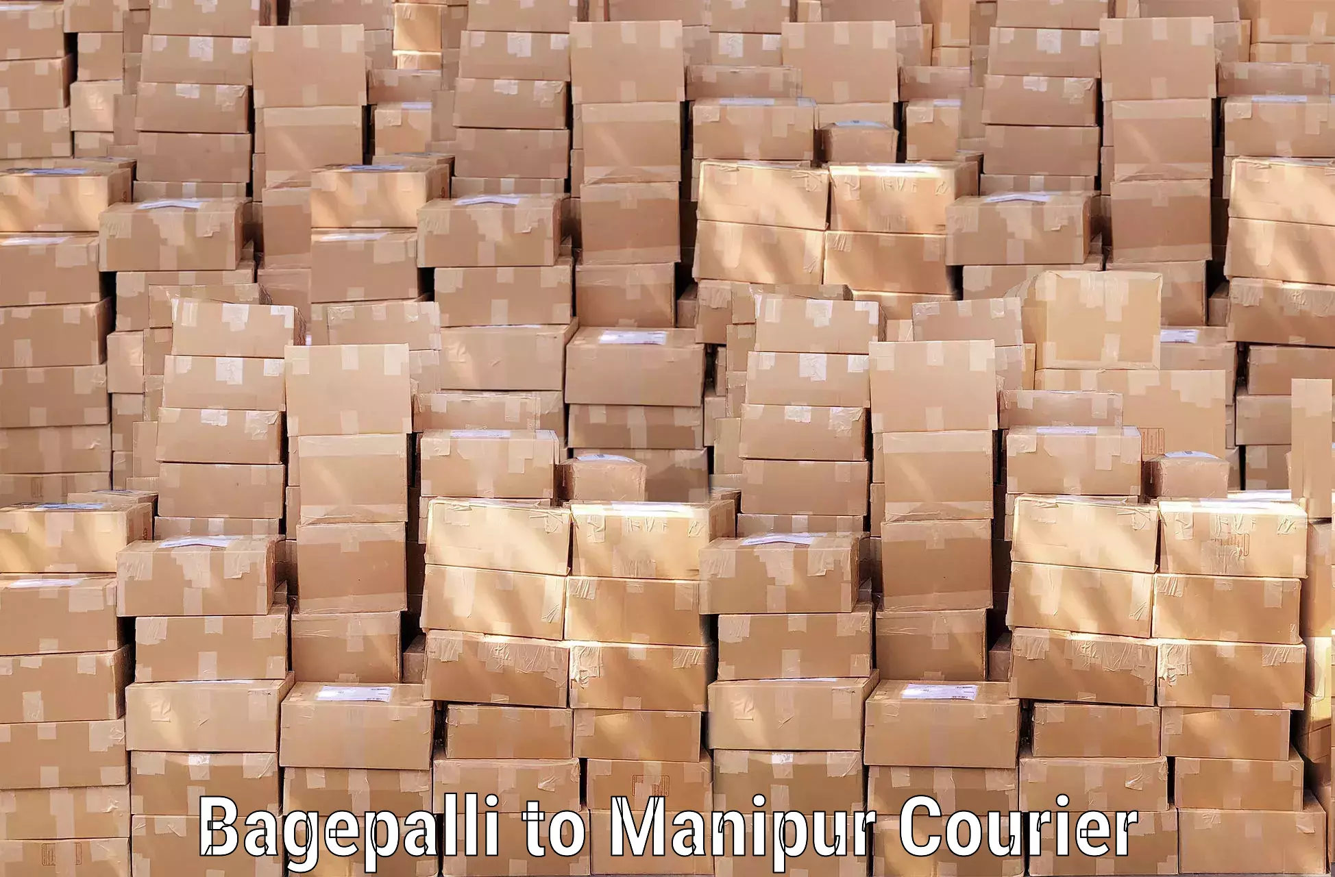 Baggage delivery scheduling Bagepalli to Manipur