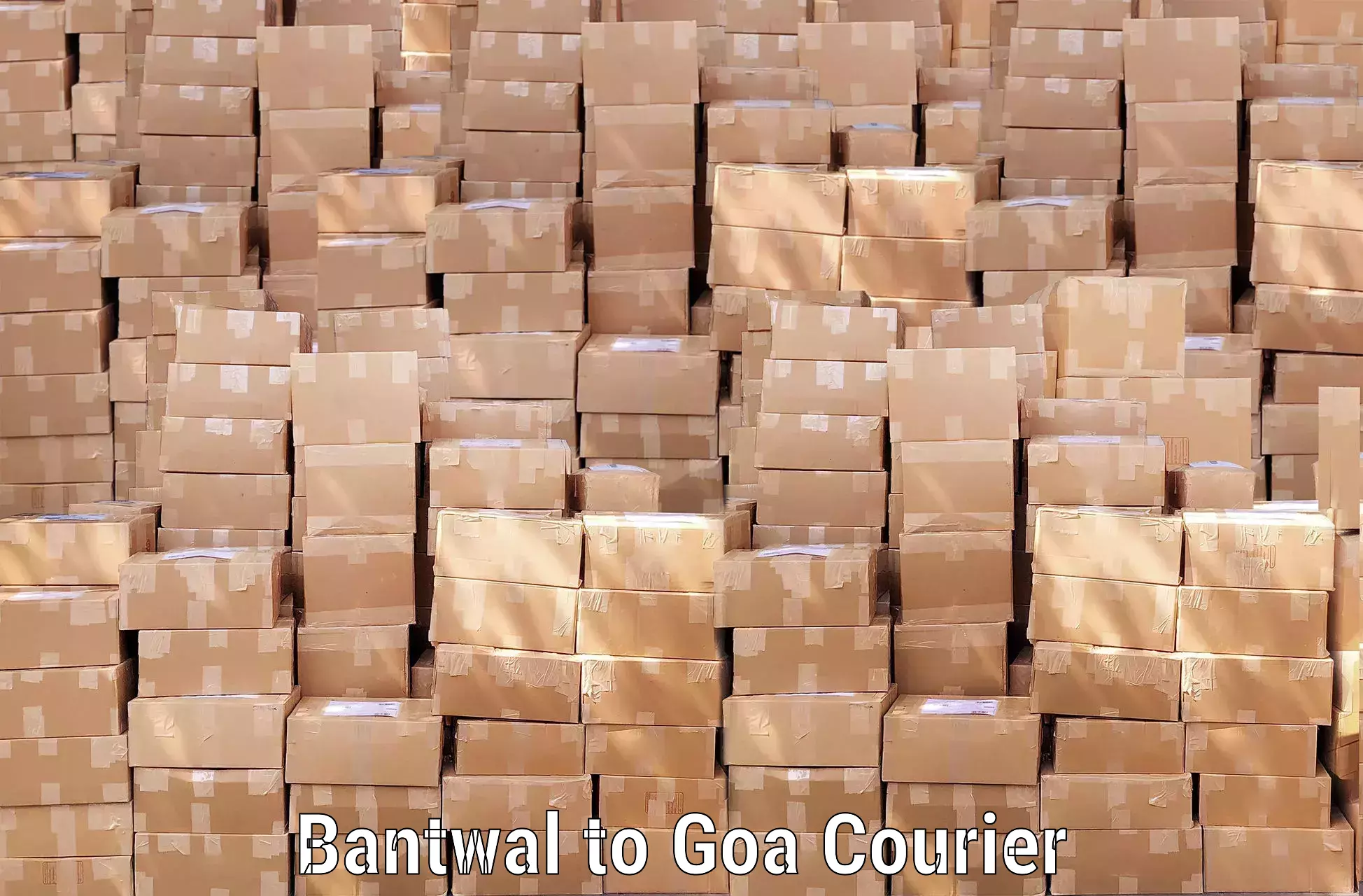 Express baggage shipping in Bantwal to Goa