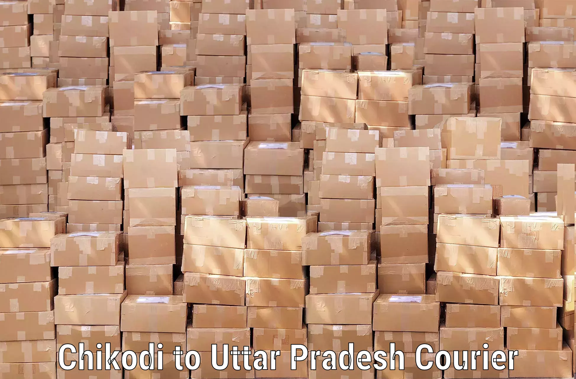 Door-to-door baggage service Chikodi to Uttar Pradesh