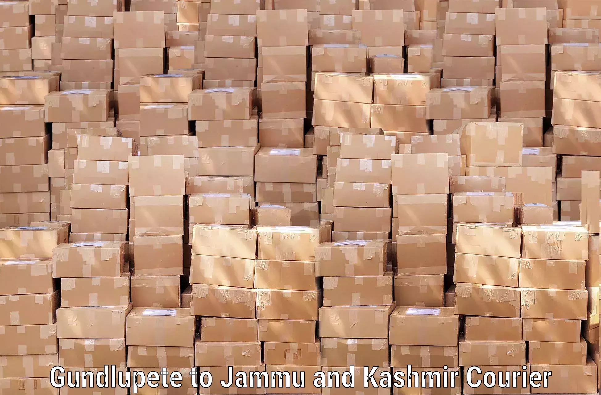 Hotel to Door baggage transport Gundlupete to Shopian