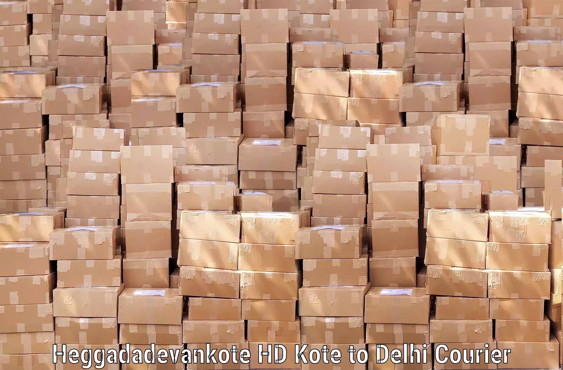 Train station baggage courier Heggadadevankote HD Kote to Delhi Technological University DTU