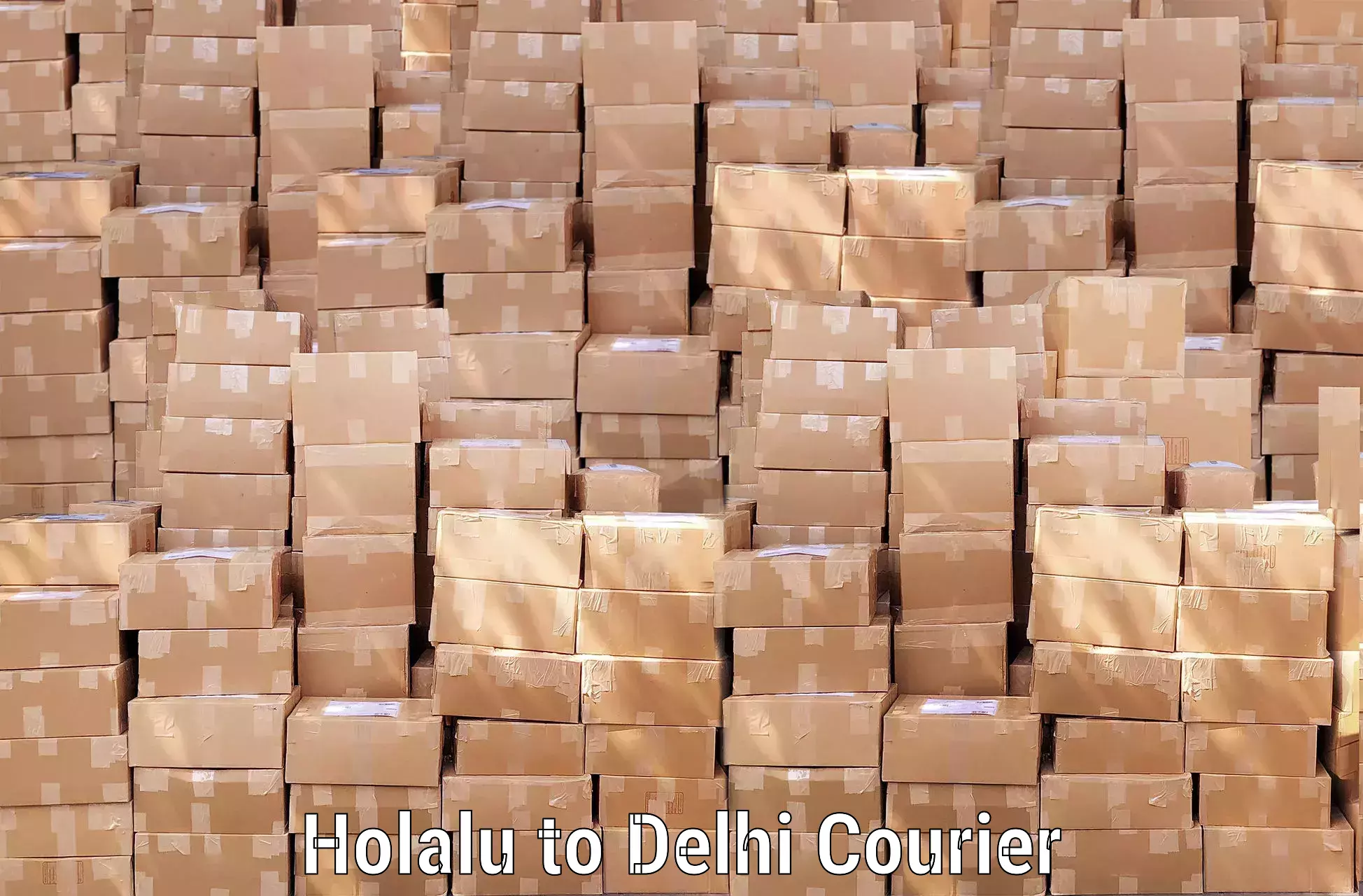 Baggage shipping quotes Holalu to NIT Delhi