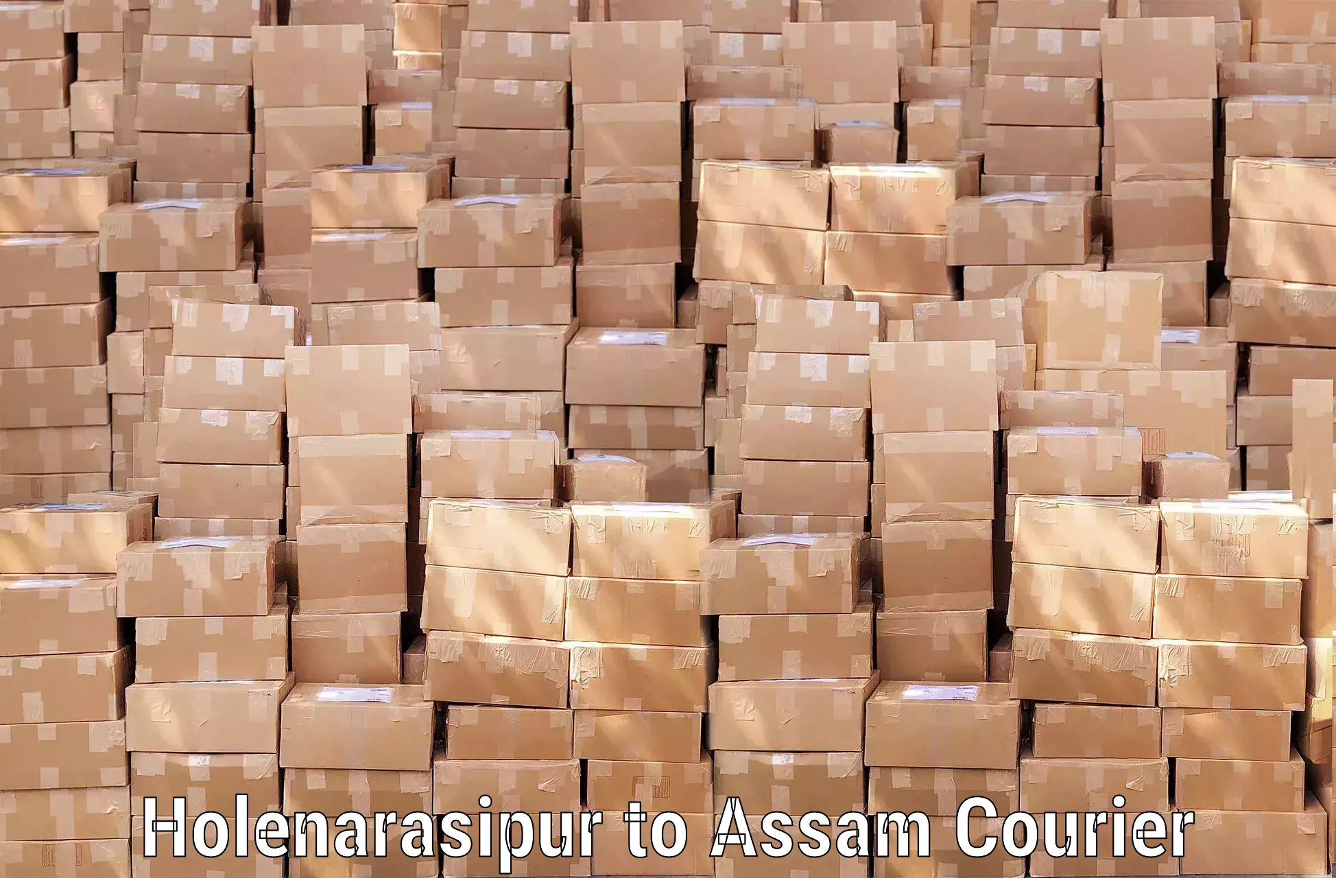 Instant baggage transport quote Holenarasipur to Assam
