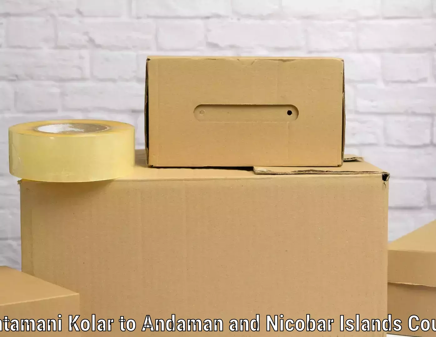 Luggage delivery optimization Chintamani Kolar to Andaman and Nicobar Islands