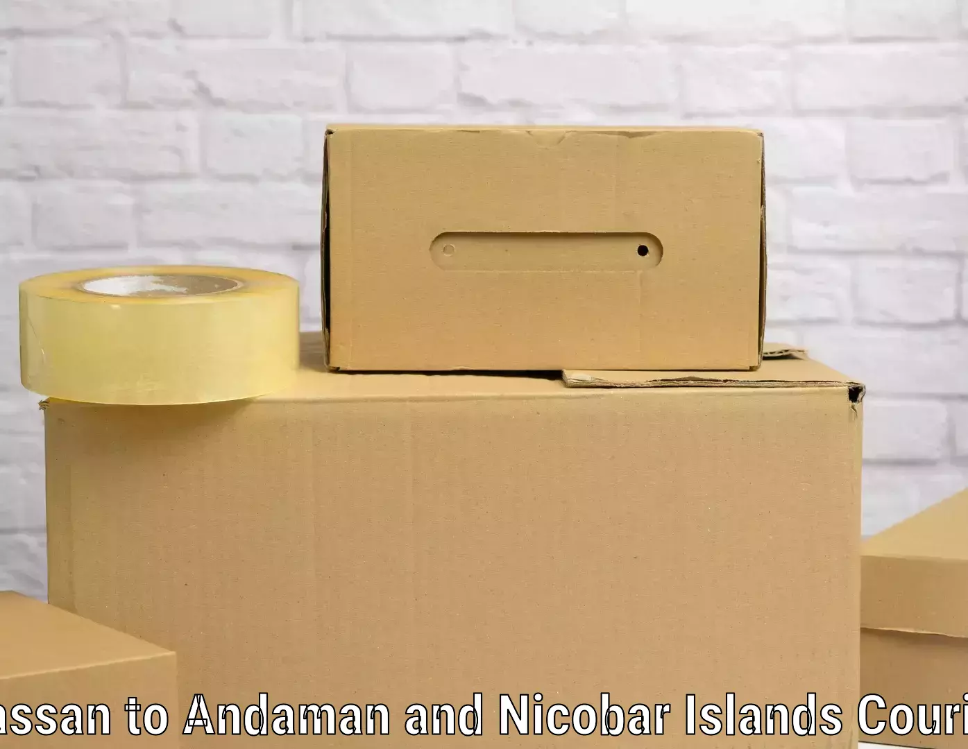 Baggage courier insights Hassan to Andaman and Nicobar Islands
