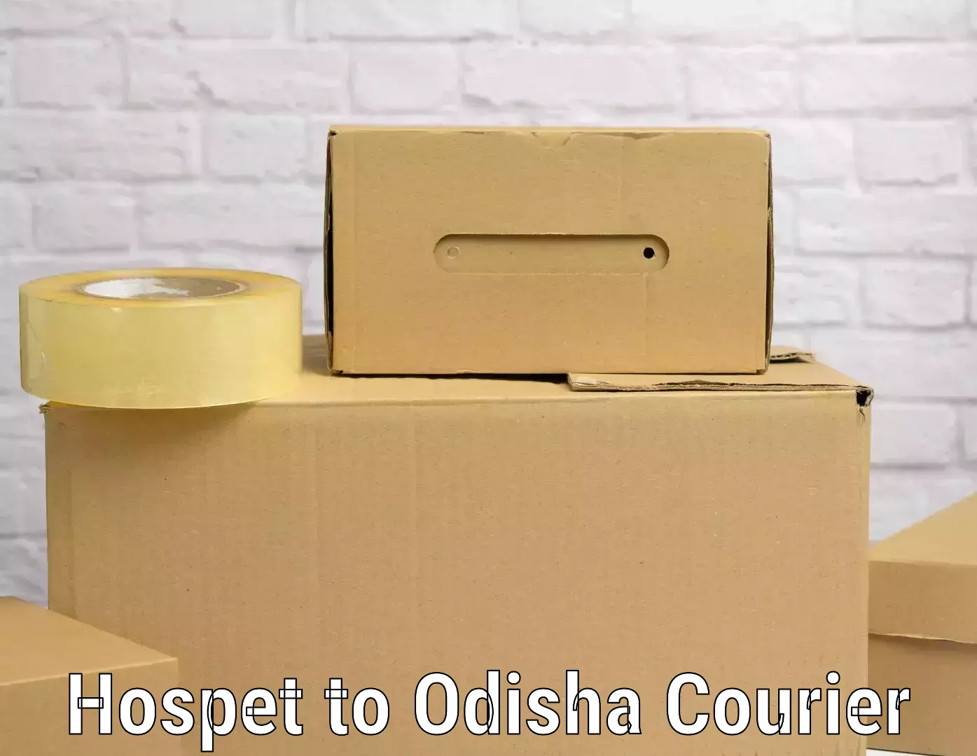 Hassle-free luggage shipping Hospet to Odisha