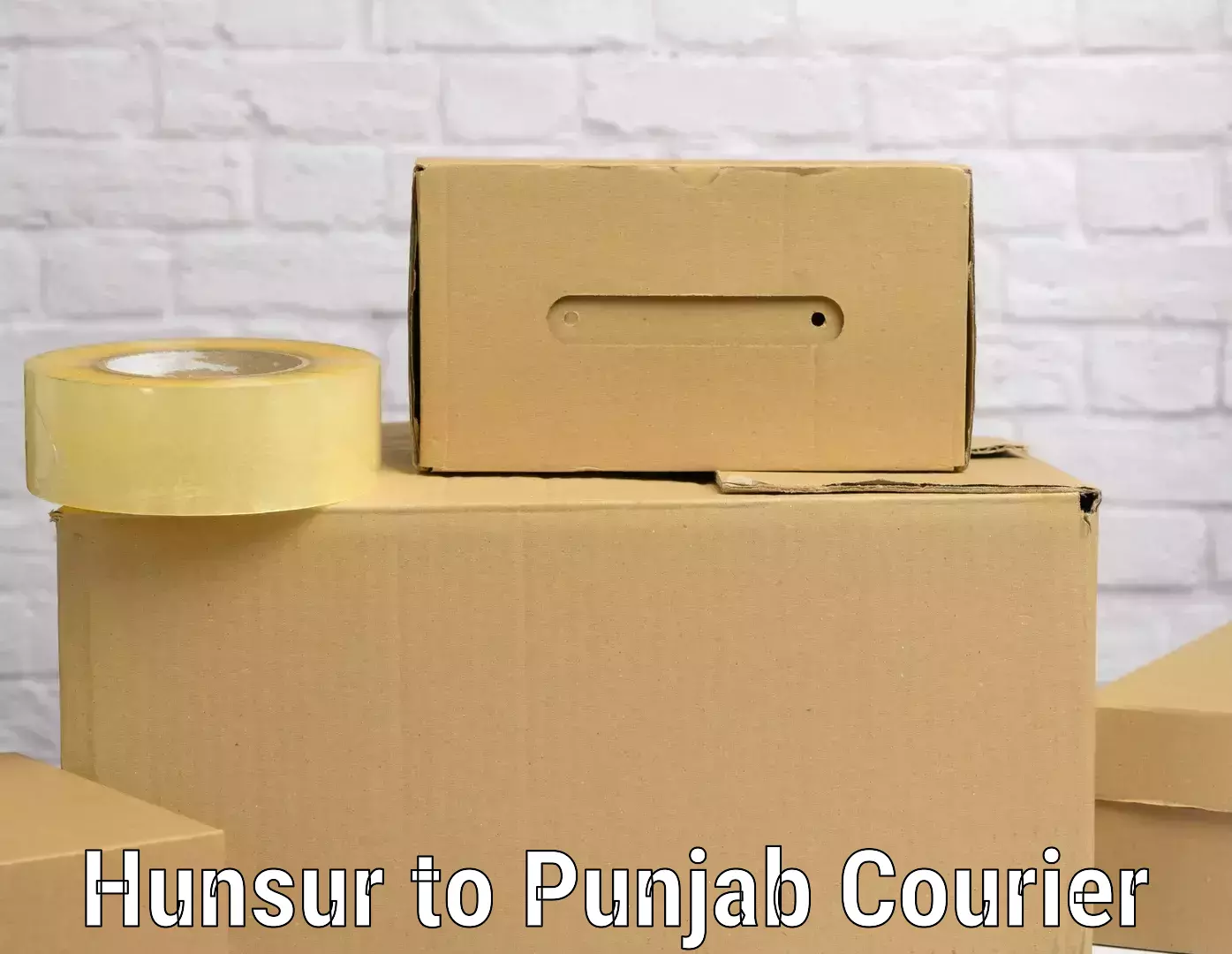 Luggage shipment tracking Hunsur to Punjab