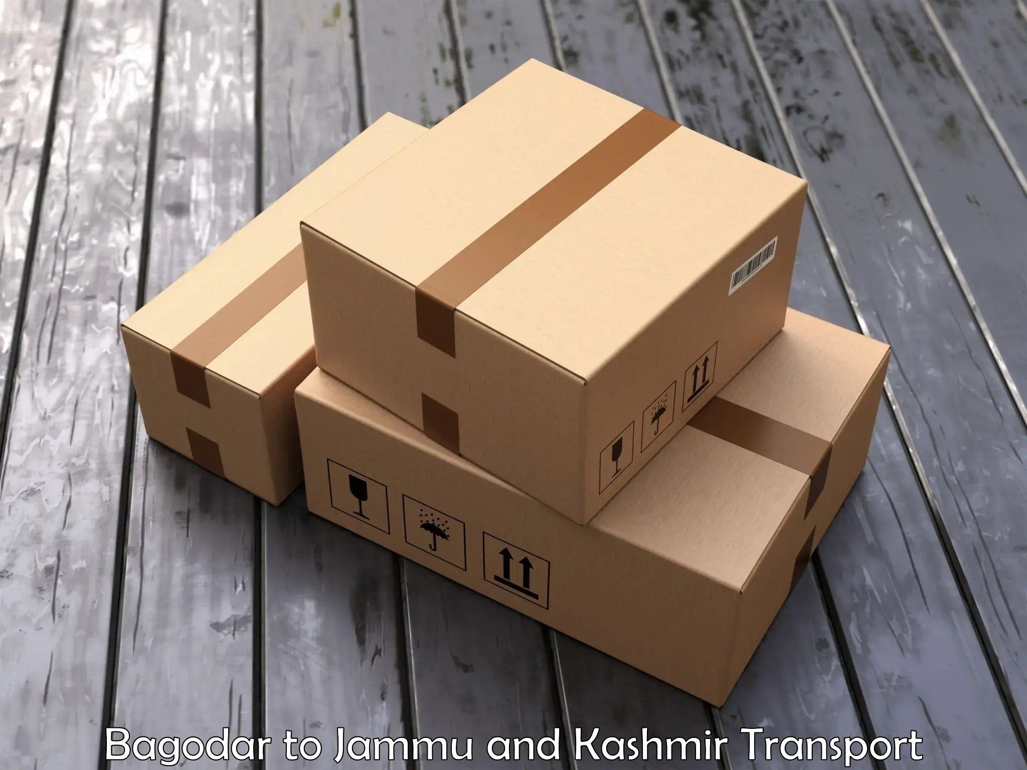 Lorry transport service Bagodar to University of Kashmir Srinagar