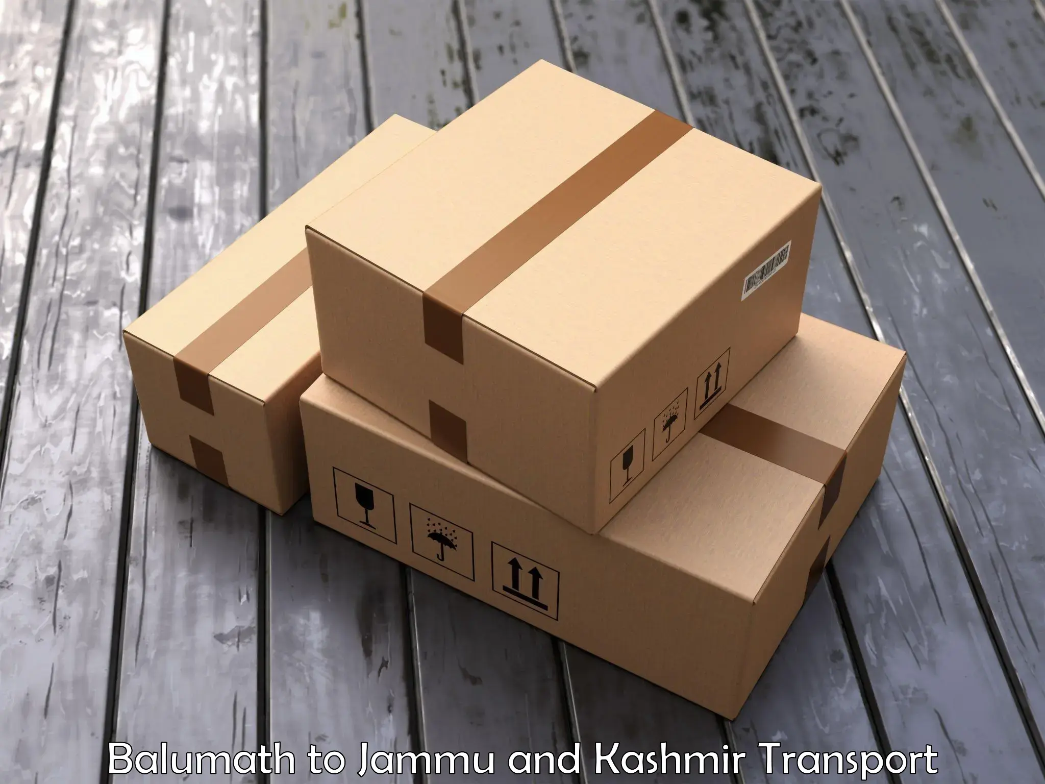 Shipping partner Balumath to Kargil