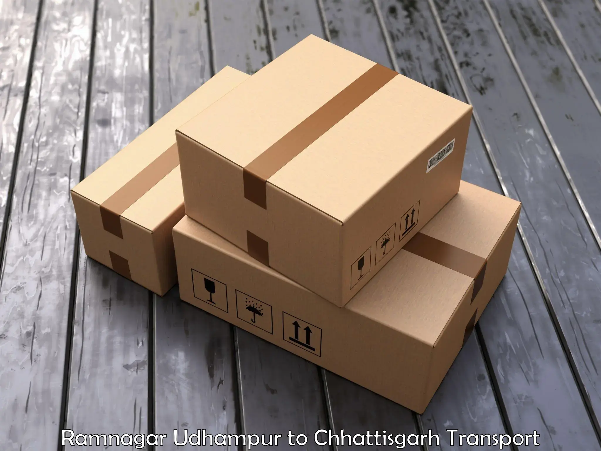 Container transportation services Ramnagar Udhampur to Chirimiri