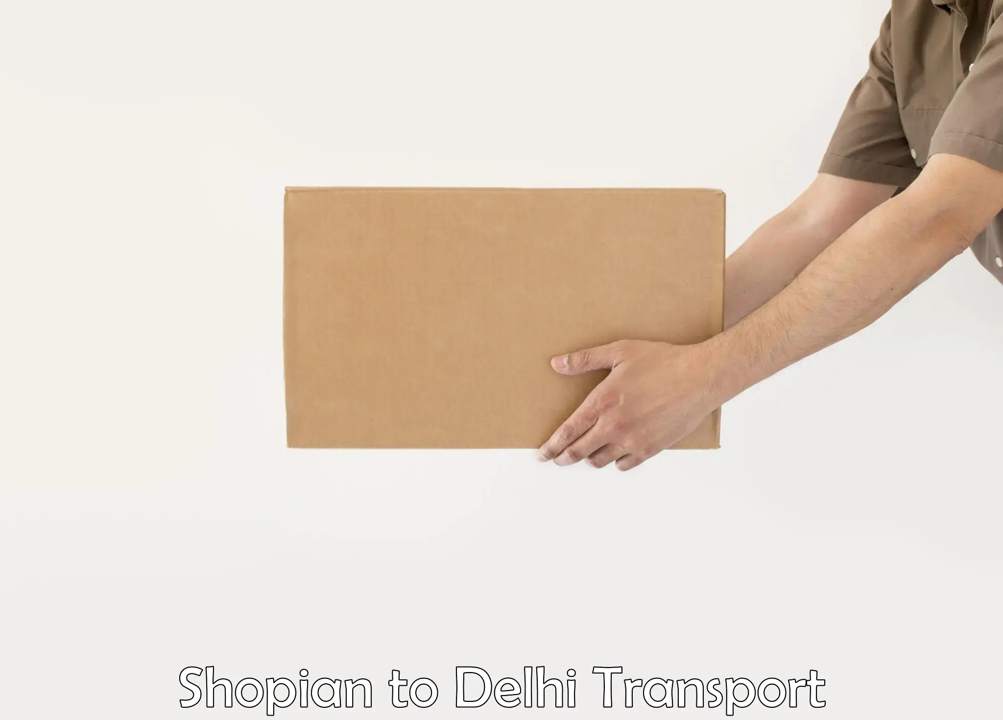 Cargo train transport services Shopian to East Delhi