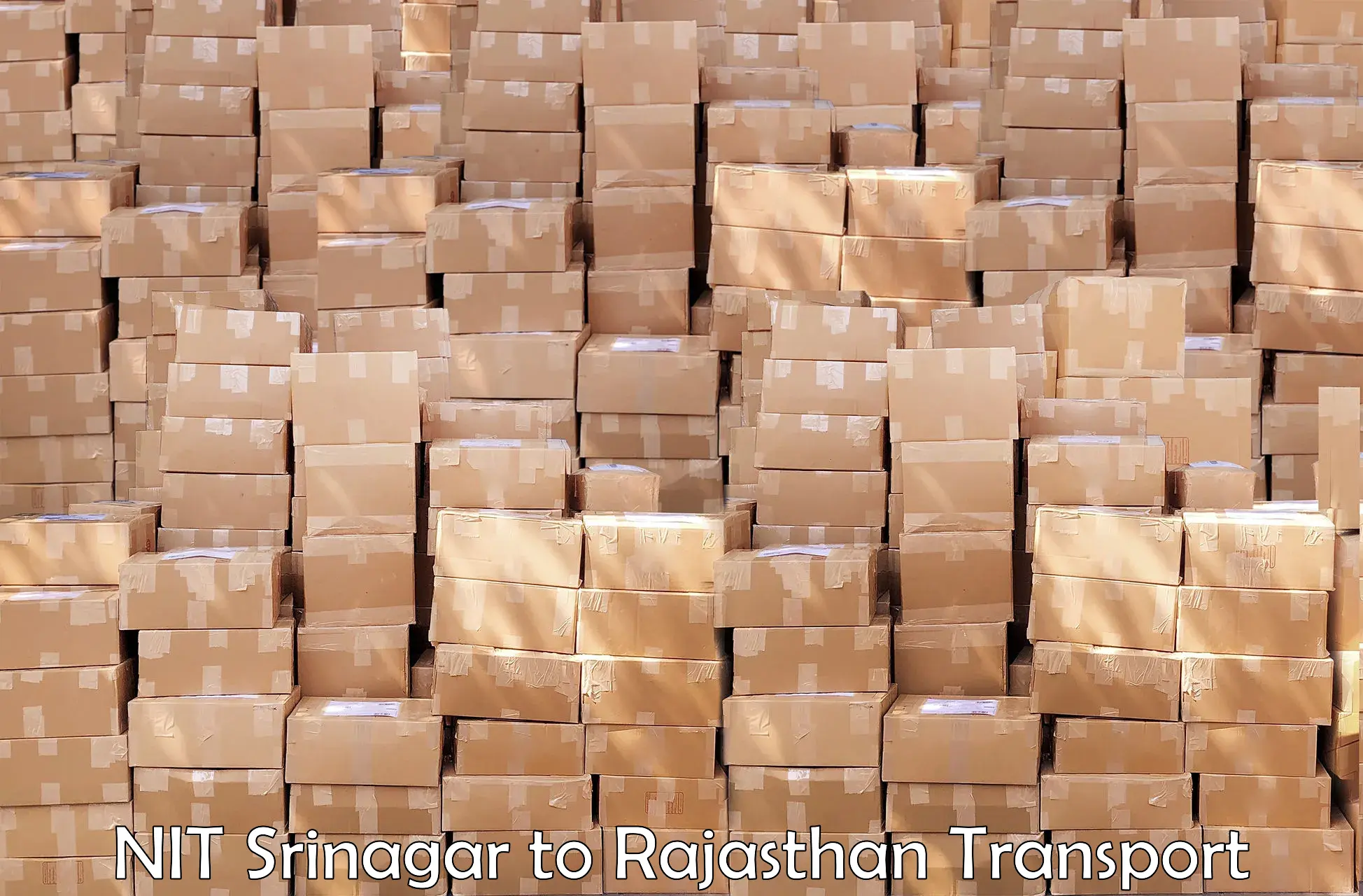 Shipping partner NIT Srinagar to Udaipur