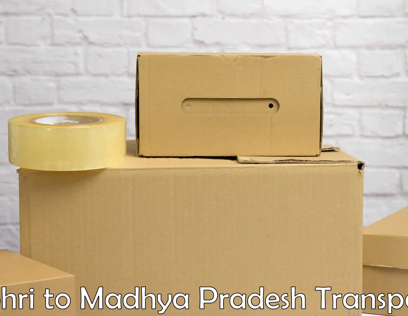 Package delivery services Bohri to Madhya Pradesh