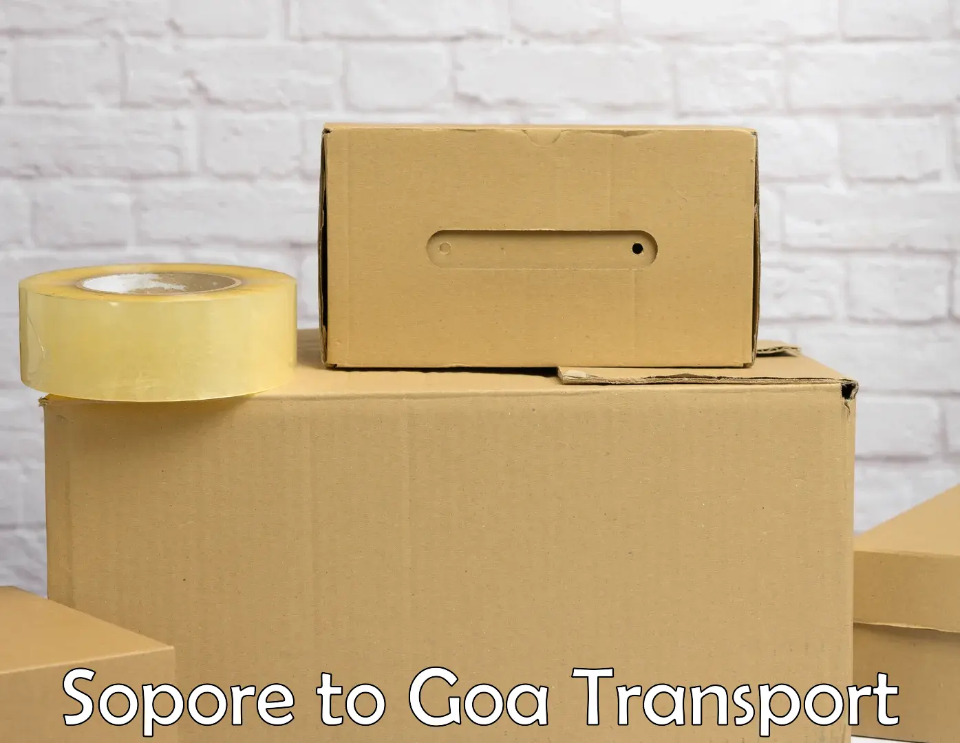 Air freight transport services Sopore to Goa University