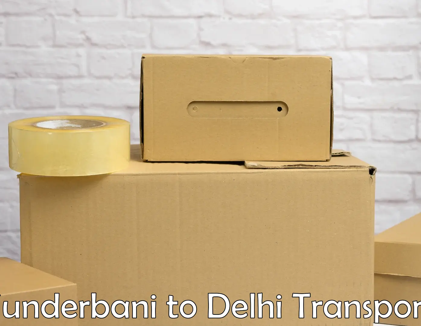 Cycle transportation service Sunderbani to Delhi Technological University DTU