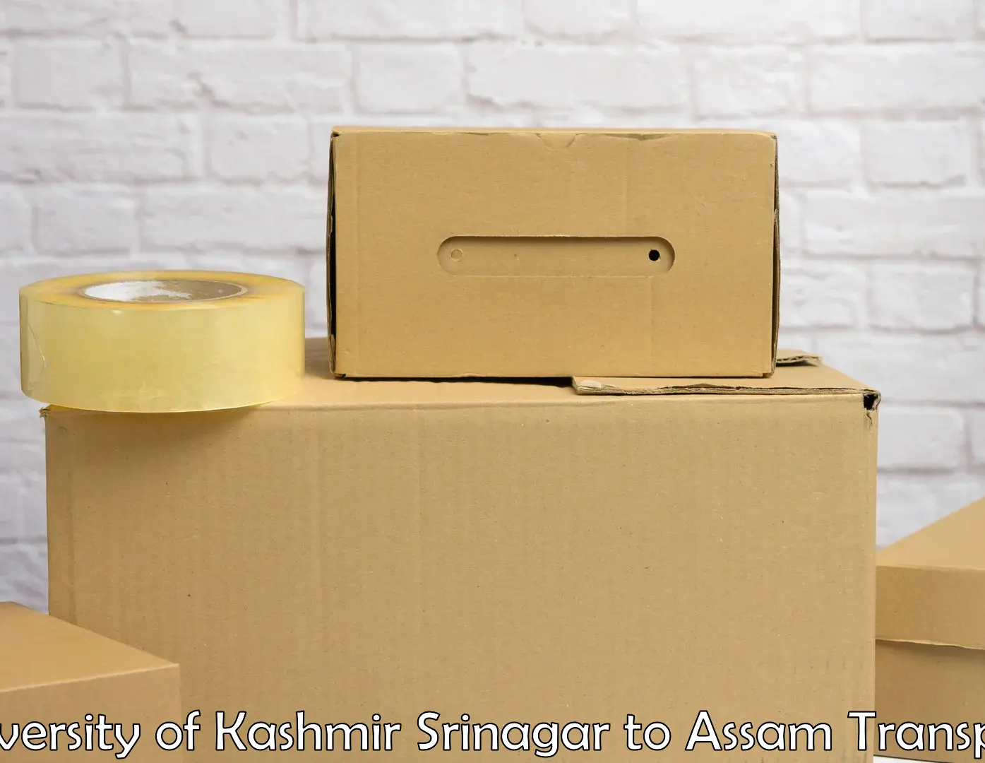 Daily parcel service transport University of Kashmir Srinagar to Karimganj